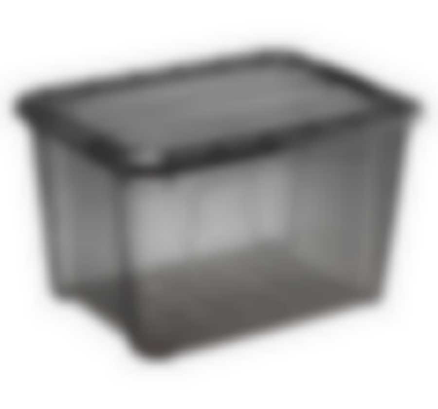 Ящик для хранения с замками КИП 15,5л черный прозрачный