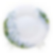 Тарелка обеденная "Ландыши" 23 см