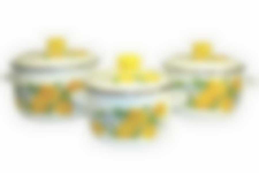 Набор кастрюль 2,0х3,0х4,0 л. "Лимоны"