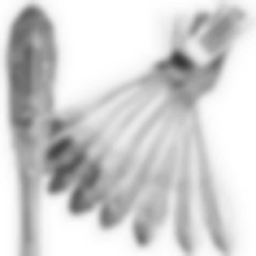 Вилки столовые 12шт.MB