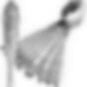 Ложки чайные 12шт.MB