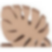 Салфетница Монстера 12х3х9,5 см