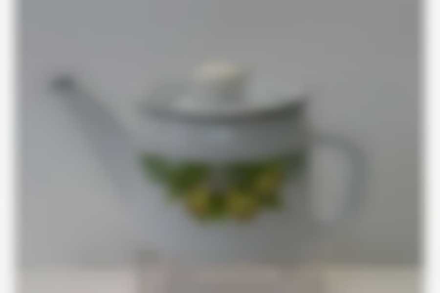 Чайник 1,0л с рисунком заварной