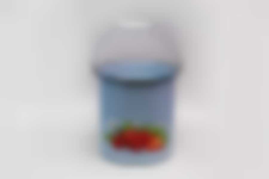 Ведро 12л без крышки с рисунком