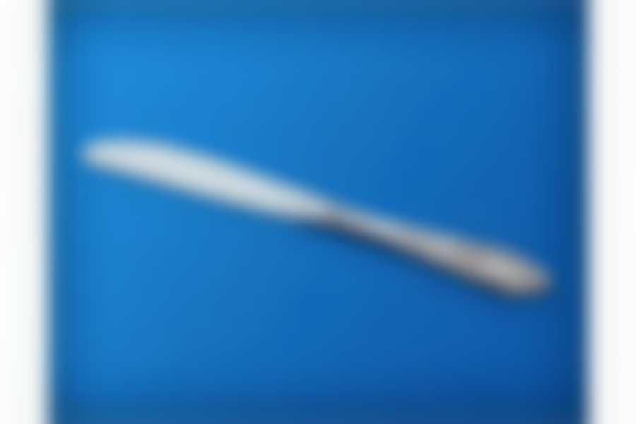 Нож стол. нерж."Губернатор"