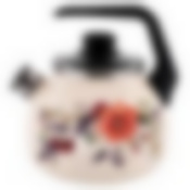 Чайник 3,0л со свистком Anemone ТМ Appetite, 4с209я