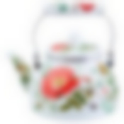 Чайник 2,5л Дикая роза ТМ Appetite, FT5-2,5-DR