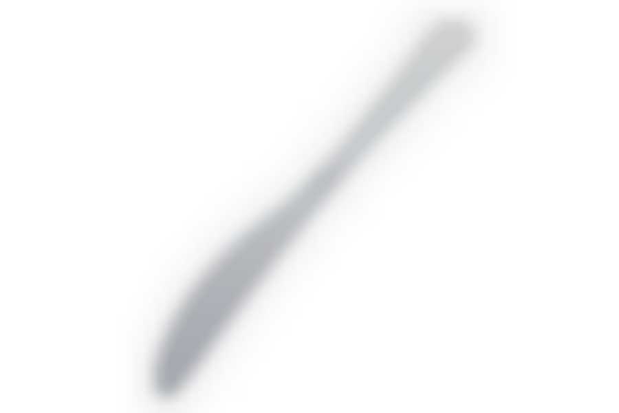 Нож столовый нержавеющий Орландо ТМ Appetite, B250-4