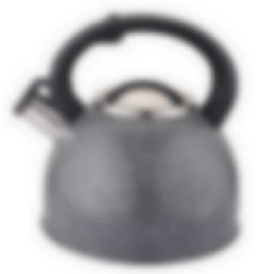 Чайник 3,0л со свистком светло-серый TM Appetite, LKD-3030G