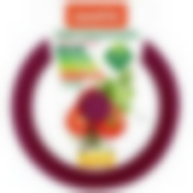 Крышка универcальная 20,22,24см бордовая TM Appetite, ZH20-24SSV
