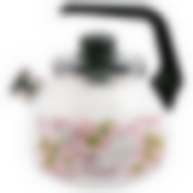 Чайник 3,0л со свистком Bird ТМ Appetite, 4с209я