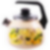 Чайник 3,0л со свистком Citrus ТМ Appetite, 4с209я