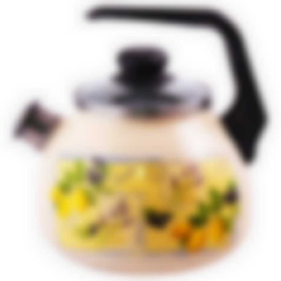 Чайник 3,0л со свистком Citrus ТМ Appetite, 4с209я