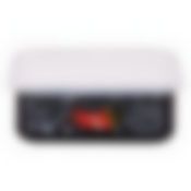 Лоток 1,0л Chilli TM Appetite, 10-2507п/6