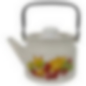 Чайник эмал 2,0л Рябина, 27104П2