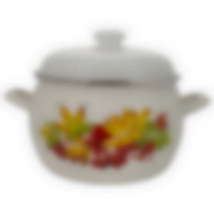 Кастрюля эмал 5,0л Рябина, 4216АП2/4