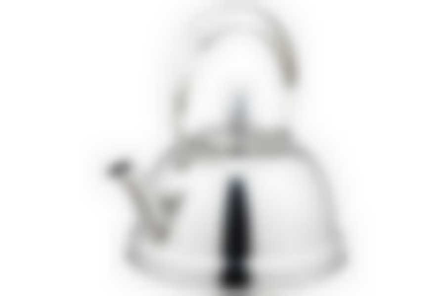 Чайник заварочный 0,7л TM Appetite, LKD-005