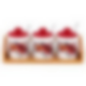 Набор банок 3 предмета на подставке Аnemone ТМ Appetite, ZFC048-5