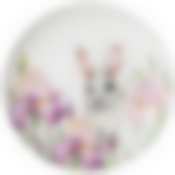 Тарелка закусочная lefard Irises 20,5 см 