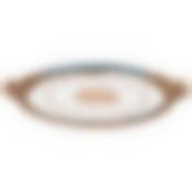 Поднос декоративный коллекция Рококо , 49,7*28,7*4,1cm