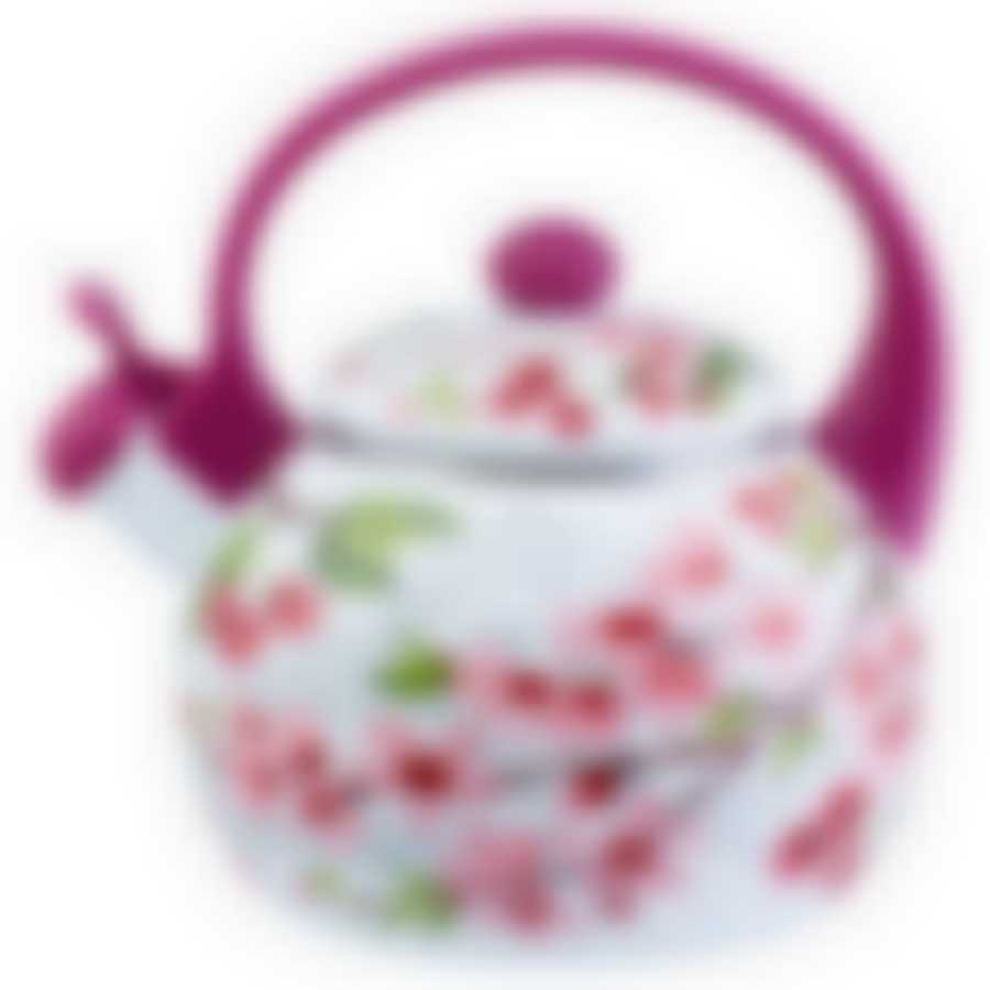 Чайник 2,0л Вишня ТМ Appetite, FT7-VI