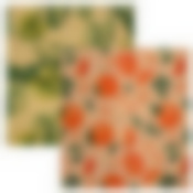 Салфетка восковая для хранения продуктов. Размер 33х35 см 2 диз NEW