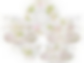 ЧАЙНЫЙ НАБОР LEFARD "ROSE VALLEY" НА 6 ПЕР. 12 ПР. 270 МЛ