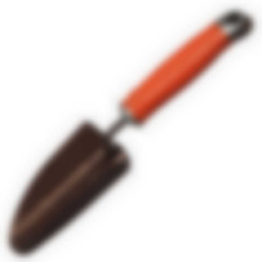 Совок большой (СБ)