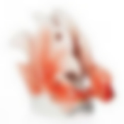 Салфетница "ЗОЛОТАЯ РЫБКА" высота=11 см.длина=13 см.под.упак.