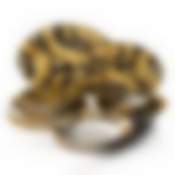 Столовый сервиз на 6 персон Lefard «Цветы», 23 предмета