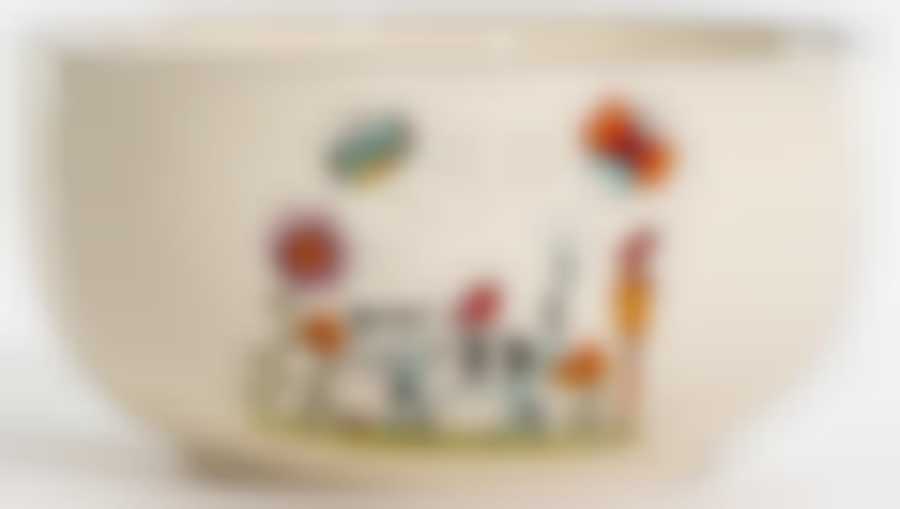 Салатник 610мл 140мм,(ПОЛОСАТЫЙ КОТ) цветная упаковка