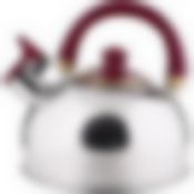 Чайник нерж 2,5л бордовая ручка MB