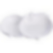 Менажница 2 отдел.,"Яблоки", фарфор LR