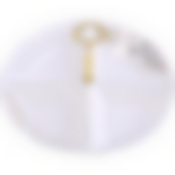 Менажница 4 отдел., 26,5 см, фарфорLR