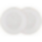 Набор тарелок десертных lefard Фабьен 2 шт. 20,5 см 