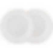 Набор тарелок обеденных lefard Фабьен 2 шт. 26,5 см 