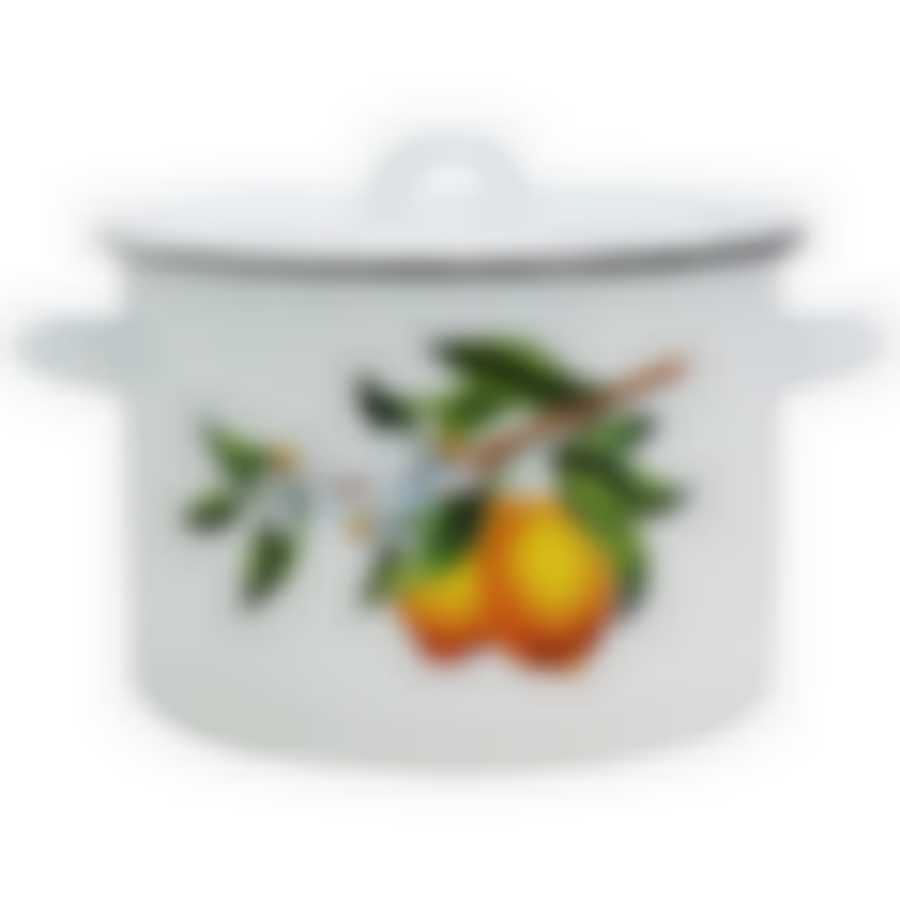 Кастрюля 4,5л Лимоны, 01-1615/4М