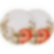 Набор тарелок обеденных lefard Village 2 шт. 25,5 см 