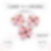 Сухие цветы хлопка, набор 3 шт, цвет розовый   4104735