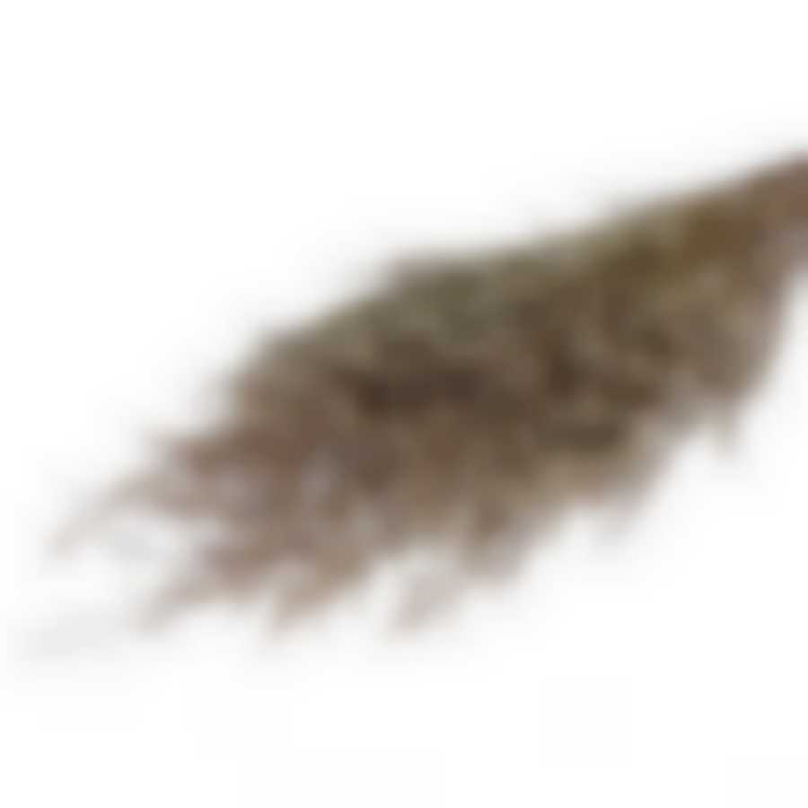 Сухоцвет "Кермек" 130 гр., цвет белый   6972054