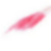 Сухоцвет "Пампасная трава" набор 5 шт, цвет розовый   6972089