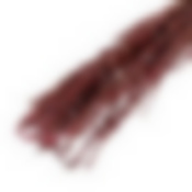 Сухоцвет Лаванда узколистная, розовый, 50 - 100 г в упаковке   7749545