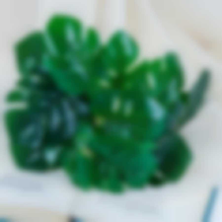 Букет "Монстера" 20 см 1653763