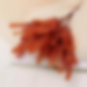 Букет "Тамарикс" 28 см, микс   4560183