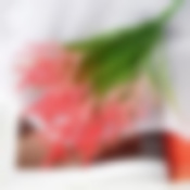 Букет "Яркие колючки" 40 см, микс   5378812