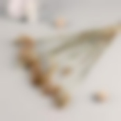 Декор сухоцвет "Лагурус" 65 см, бежевый (набор из 5 шт)