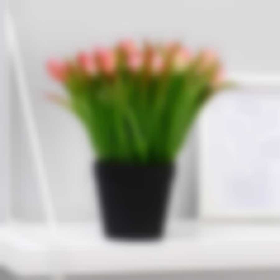 Бонсай в горшке "Тюльпаны" 9х19 см, микс 4560015