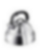 Чайник 5,0л со свистком Linea TEA