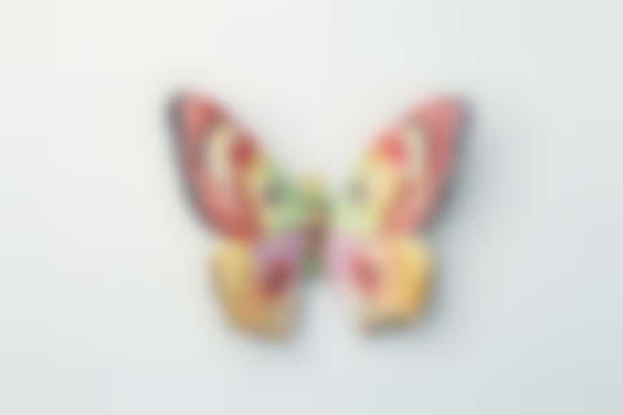 Панно настенное "БАБОЧКА" 22*20 см.