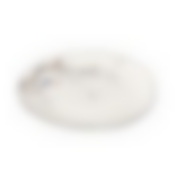 Тарелка обеденная SPRINGTIME 27см